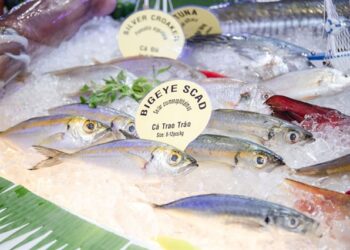 今年前10個月海產品出口達到95億美元