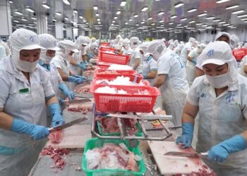 越南紡織服裝協會提供2023年兩種出口情景