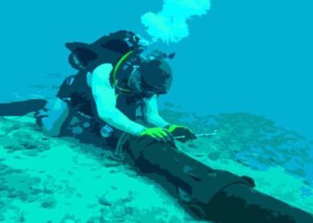 連接越南互聯網與世界的所有 5 條海底電纜線路同時出現問題