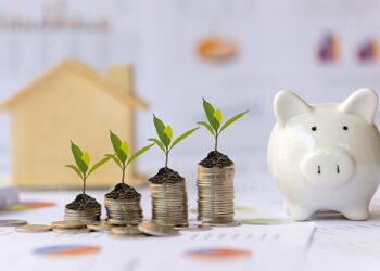 2 月 6 日至 10 日：最高現金分紅 20%