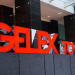 GELEX建議投資者警惕未經證實的傳言