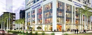 SJC：2022年虧損創歷史新高，Song Da 1.01股仍震盪上漲，跌幅數十倍