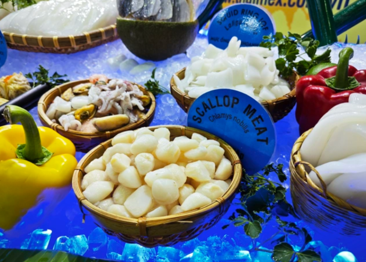 12家日本企業到越南尋找扇貝加工夥伴