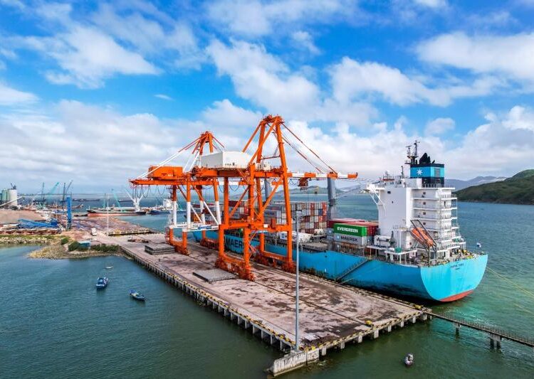 歸仁港公司(QNP)：連續5個交易日漲停說明