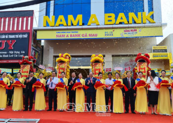 NAB：南亞銀行剛在HOSE上市，計畫發行2.645億股股票