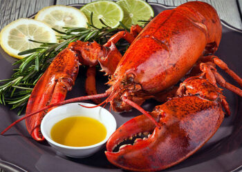 2024年前兩個月龍蝦出口量成長18倍