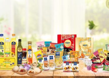 KDC：2024年第一季獲利217億越南盾