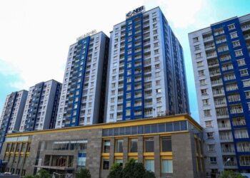 NBB：2024年第一季獲利僅4,900萬越南盾