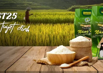 VSF：重回正軌，Vinafood 2 每年出口數百萬噸米