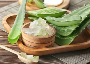 GCF：「蘆薈之王」目標利潤翻倍