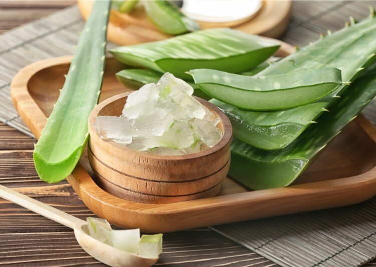 GCF：「蘆薈之王」目標利潤翻倍