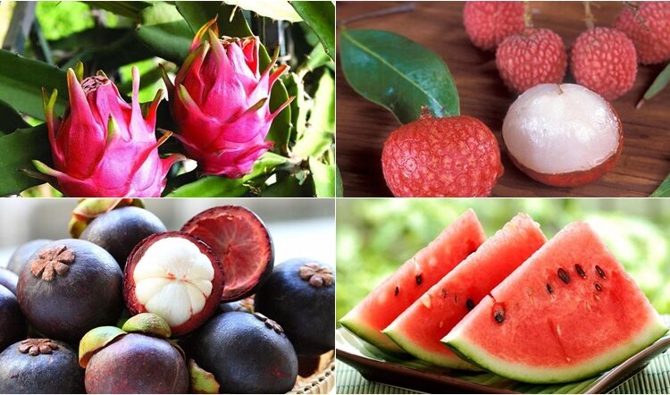 2030年越南水果出口額可達65億美元