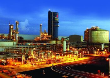 2024年前6個月，PVFCCo消費成長與市場拓展令人矚目