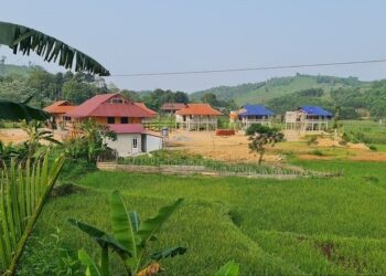 農地即將「登基」？新《土地法》2024對農業房地產的影響