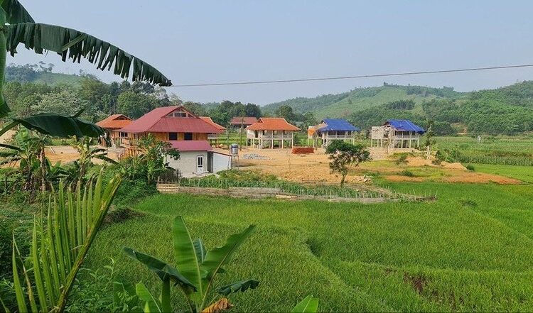 農地即將「登基」？新《土地法》2024對農業房地產的影響